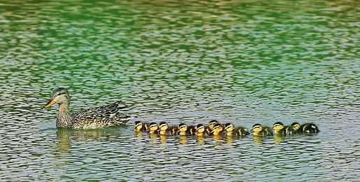 《Abysm》PC平台免费发布 第一人称太空科幻恐怖探索新游